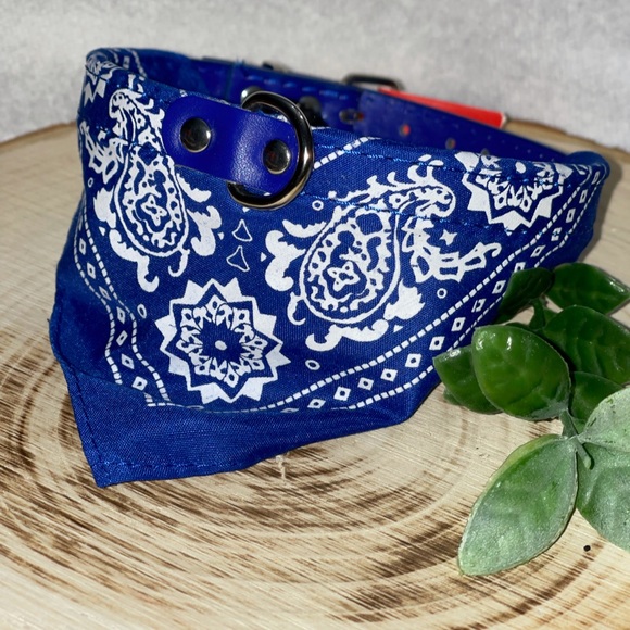 Brandera dog or cat collar for small to medium - Picture 7 of 7